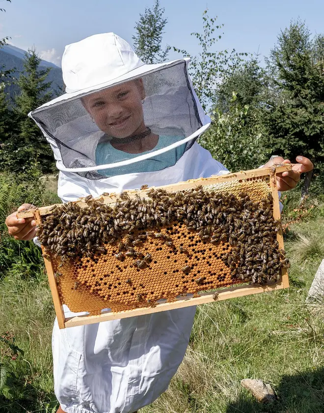 Auf den Spuren der Natur Auf den Spuren der Natur
