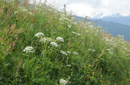 Ihr Tor zur Silberregion Karwendel Ihr Tor zur Silberregion Karwendel